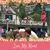 Denise Lange Dudek's profile image