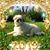 Margie Bogash's profile image