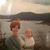 Melanie Whitt Thompson's profile image