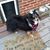Angel Askins's profile image