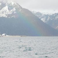 Cari Zundel's profile image