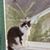 Robyn Ness Hyde Burks's profile image