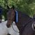 Kristine Lancelle's profile image