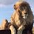 Zaara Shah's profile image