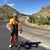 Brian Aldrich's profile image
