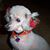 Mary Huckabee's profile image