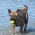 Carol Weaver's profile image