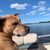 Chris Tomczak's profile image