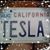 Tesla K Levine's profile image