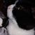Brenda Hartfiel-Hering's profile image