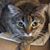 Lenora Smile's profile image