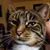 Aly Ottomeier's profile image