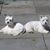 Kathy Matyas's profile image