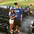 MacKenzie Niswonger's profile image