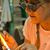Cathi Milligan's profile image
