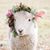 Victoria Collett Cenarrusa's profile image