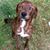 Tammy Daugherty VanScoy's profile image