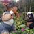 Sue Campbell's profile image