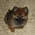 Sarah Lewis Anderson's profile image