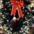 Amy Akel-Rael's profile image