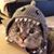 Pam Mirwaldt Fields's profile image