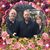 Julia Stringfellow Sanders's profile image