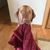 Cassondra Meyer's profile image
