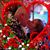 Lorie Gantz's profile image
