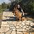 Giwrgos Kazanas's profile image