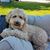 Angie Cox's profile image