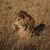 Joyce Yvonne Elsner's profile image