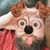 Don De Silva's profile image