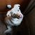 Kathy Goode's profile image