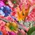 Karen Sky Plum's profile image