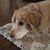 Lori Flanary's profile image