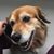 Christine Bunce's profile image