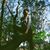 Taussy Brewer's profile image