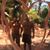 Fonzy Carrillo-Sanchez's profile image