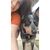 Yesenia Carter's profile image