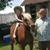 Russ Grigg's profile image