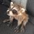 Vickie Burke Anderson's profile image