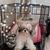 Dawn M. Rogers's profile image