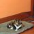 Jackie Johnson's profile image