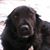 Nancy McCusker Olson's profile image