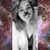 Lacey Plymire's profile image