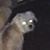 Cory Glover's profile image