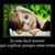 Chaver Mejia's profile image