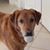 Lindy Hankel's profile image