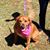 Debbie Grooms's profile image