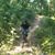 Ivan Rodriguez Robles's profile image